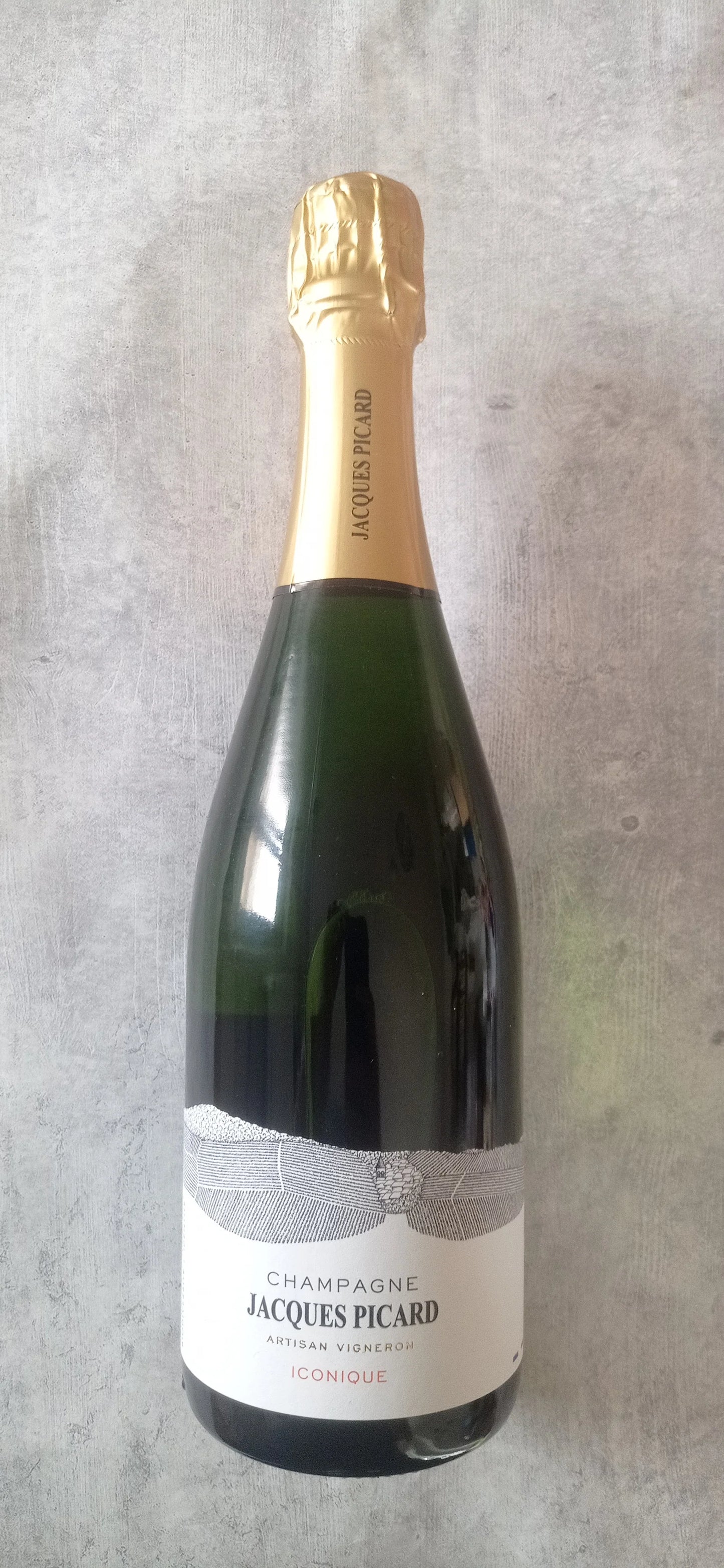 Jacques Picard - Iconique