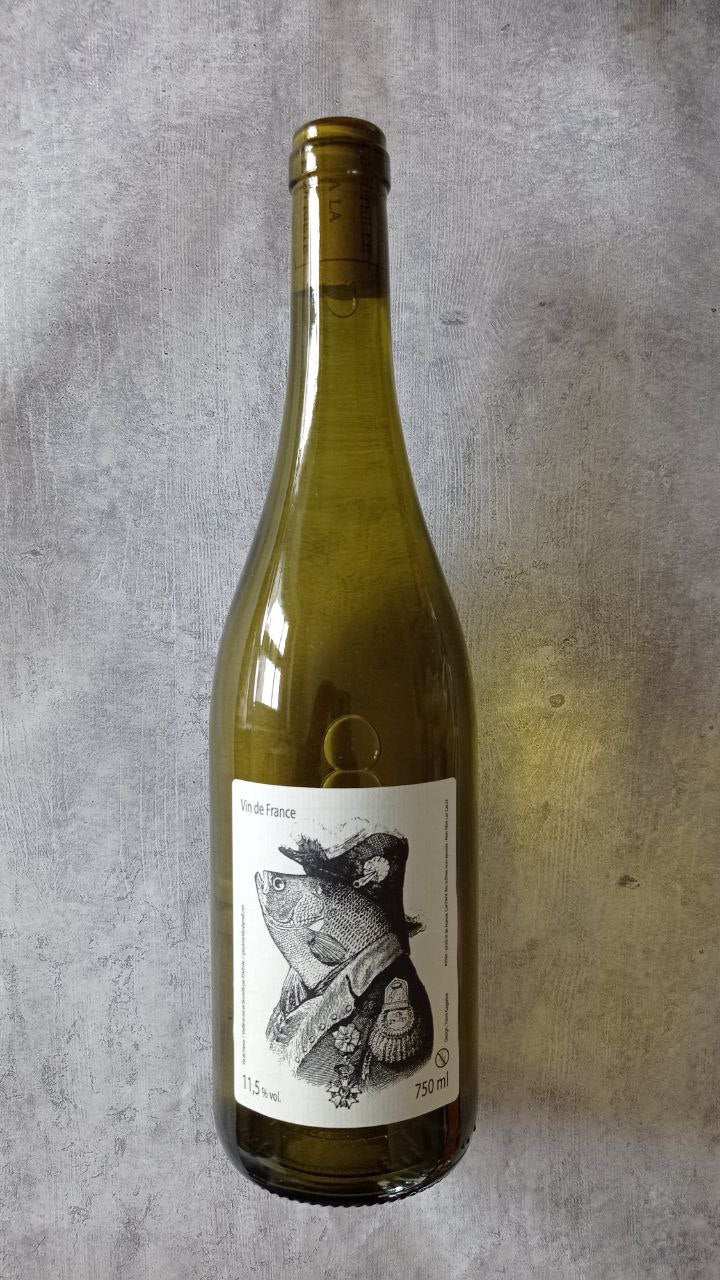 Philippe Delmée - La Carpe 2023